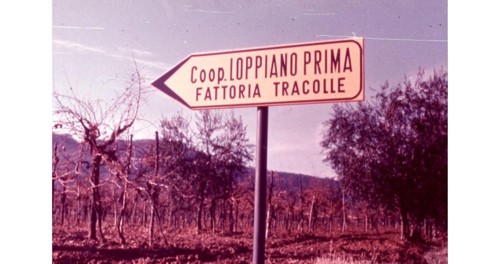 Agriturismo Fattoria Di Loppiano Regina Mundi Villa Vivajo Luaran gambar