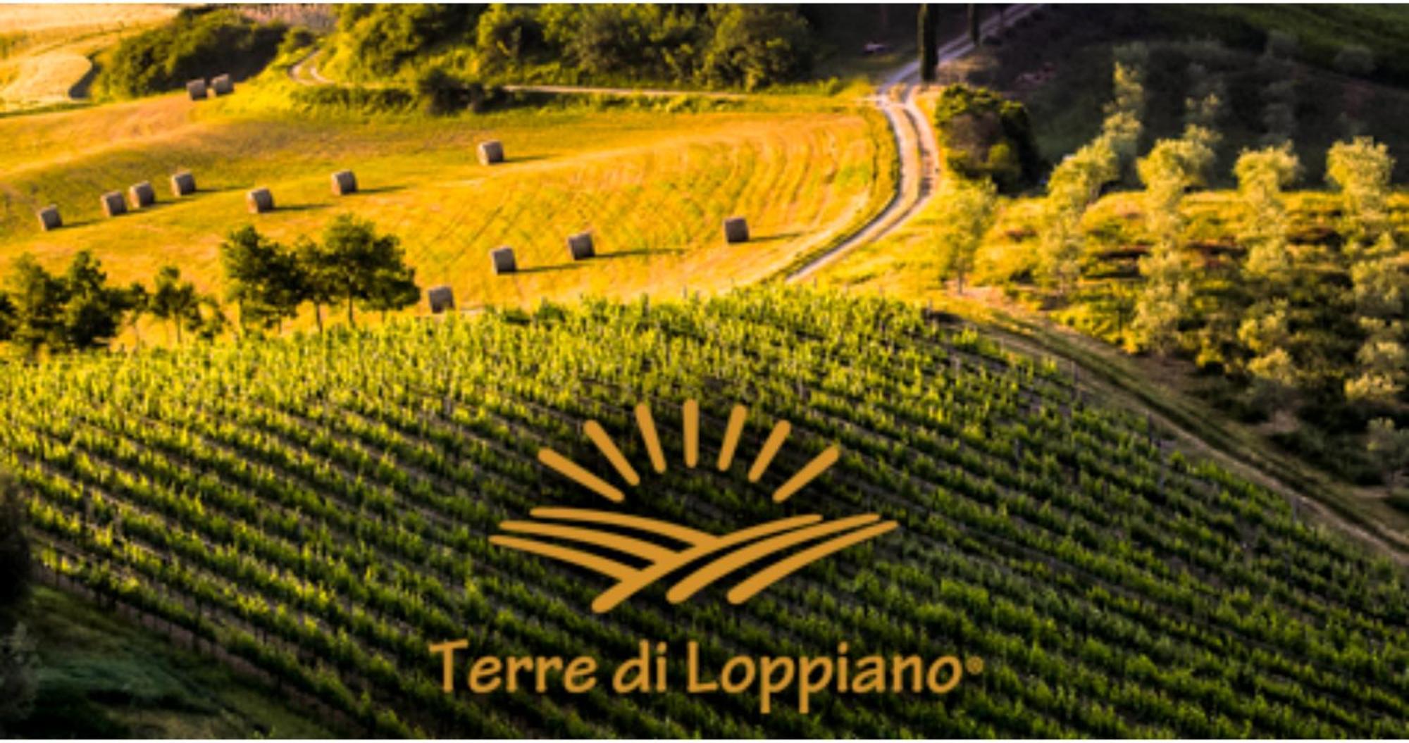 Agriturismo Fattoria Di Loppiano Regina Mundi Villa Vivajo Luaran gambar